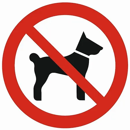 Kiry Zakopane Koscielisko